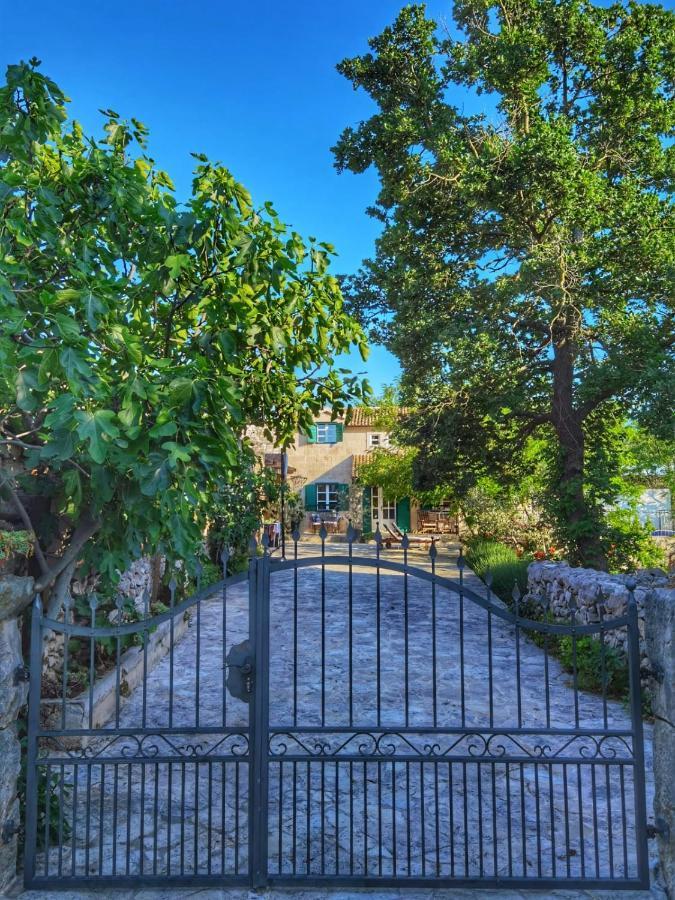 Villa Dvori Dida Mile Светий Петар Екстер'єр фото