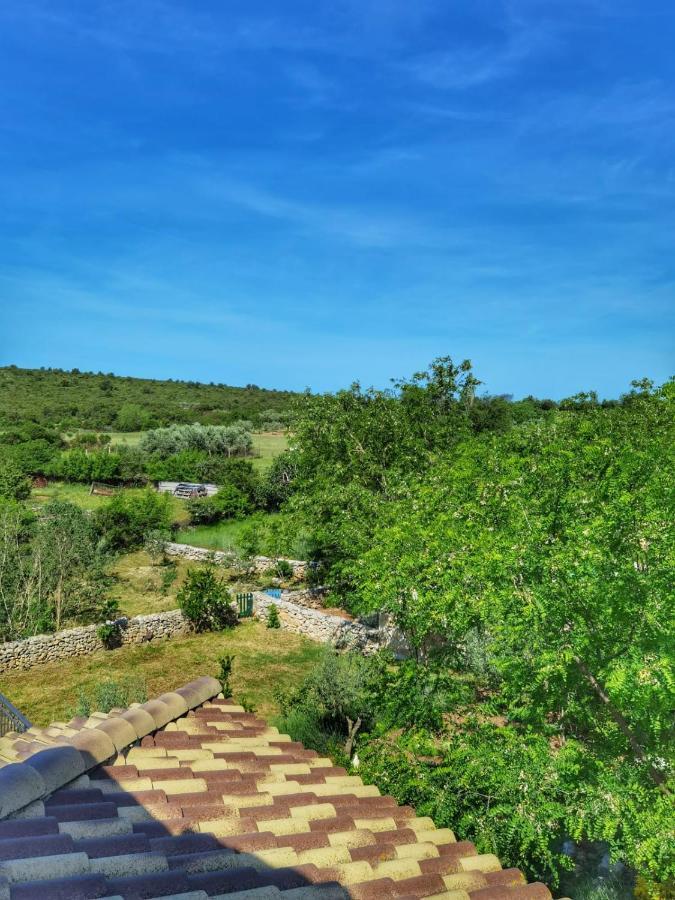 Villa Dvori Dida Mile Светий Петар Екстер'єр фото